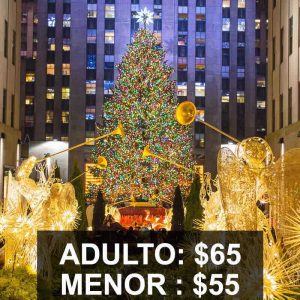Christmas Tour